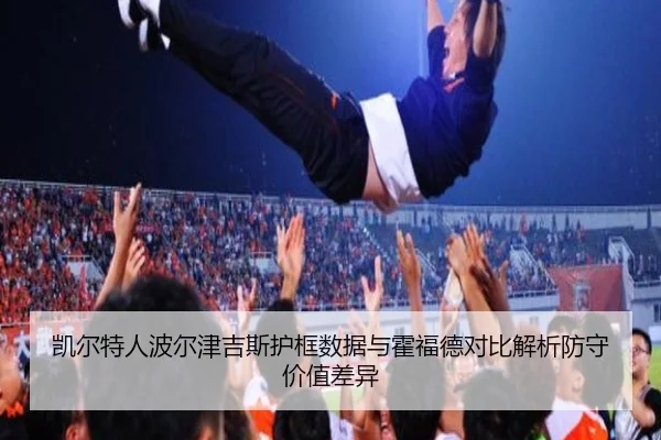 凯尔特人波尔津吉斯护框数据与霍福德对比解析防守价值差异